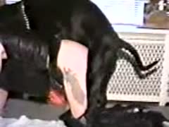 Beastiality black dog banging a hot slut